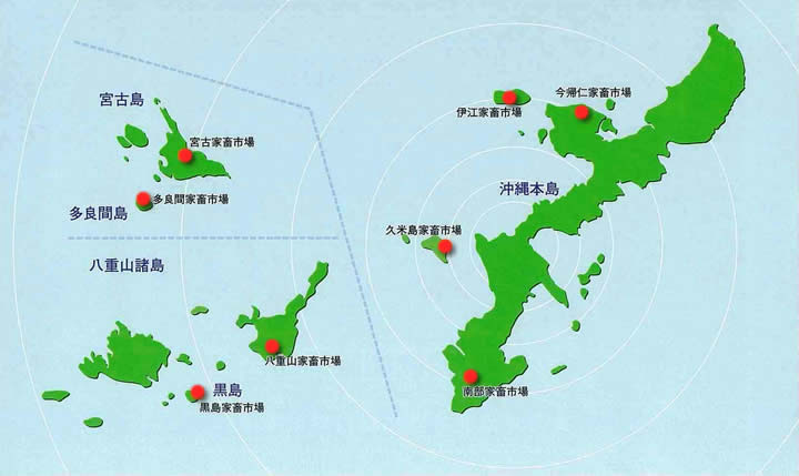 案内地図